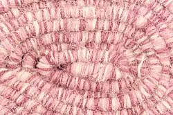 Gyapjúszőnyeg - Wellington (rózsaszín)