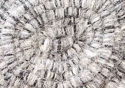 Gyapjúszőnyeg - Wellington (antracit)