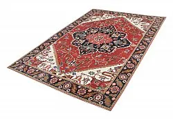 Keleti Szőnyeg - Hariz Hand Knotted - 241 x 313 cm