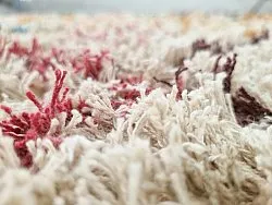 Shaggy szőnyeg - Maloney Natural Cotton Shaggy (multi)