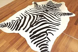 Zebrabőr 14