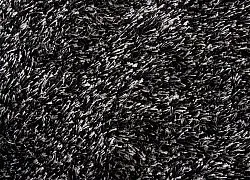 Shaggy szőnyeg - Cosy (antracit)