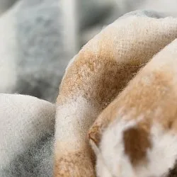 Gyapjúkeverék pléd - Monica (sárga)