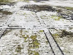 Wilton szőnyeg - Flores (fekete/barna/fehér)