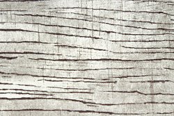 Wilton szőnyeg - Uzla (szürke)