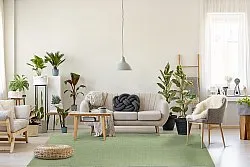 Gyapjúszőnyeg - Hamilton (Chive)