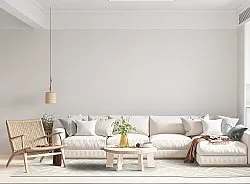 Shaggy Indoor-Outdoor - Shirley (krém)