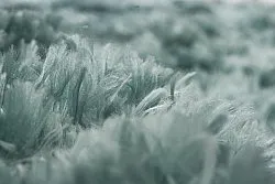 Shaggy szőnyeg - Janjira (kék/zöld)