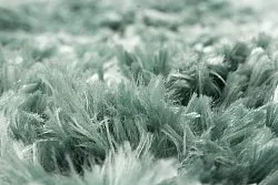 Kerek szőnyegek - Janjira (kék/zöld)