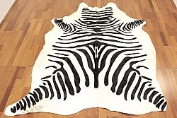 Zebrabőr 11