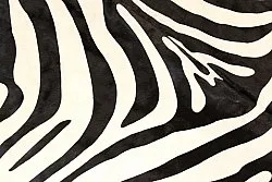 Zebrabőr 11
