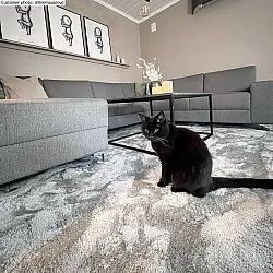 Shaggy szőnyeg - Aranga Super Soft Fur (szürke)