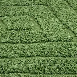 Kerek szőnyeg - Amberley Natural Cotton Shaggy (zöld)