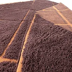 Shaggy szőnyeg - Bellevue Natural Cotton Shaggy (piros/narancs)