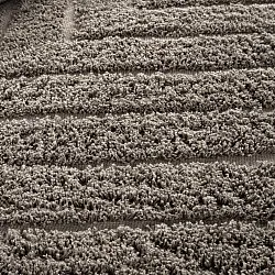 Shaggy szőnyeg - Conara Natural Cotton Shaggy (tópszín)