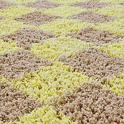 Kerek szőnyeg - Elsey Natural Cotton Shaggy (sárga/bézs)