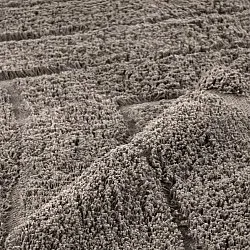 Shaggy szőnyeg - Farley Natural Cotton Shaggy (tópszín)