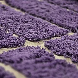 Kerek szőnyeg - Ikara Natural Cotton Shaggy (lila)
