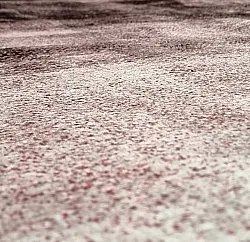 Wilton szőnyeg - Olmedo (szürke/rózsaszín)