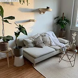 Gyapjúszőnyeg - Coastal (fehér)