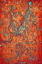 Wilton szőnyeg - Alfehéro (többszínű)