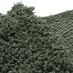 Kerek szőnyeg - Combarro Solid Cotton Shaggy (zöld)