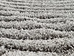 Shaggy szőnyeg - Wendy (szürke)