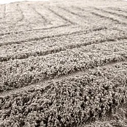 Kerek szőnyeg - Conara Natural Cotton Shaggy (tópszín)