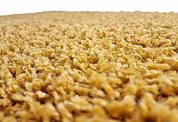 Shaggy szőnyeg - Zoe (ochre)