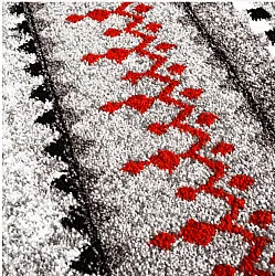 Wilton szőnyeg - Elduvik (piros)