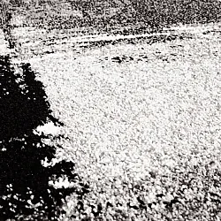 Wilton szőnyeg - Nesvik (szürke)