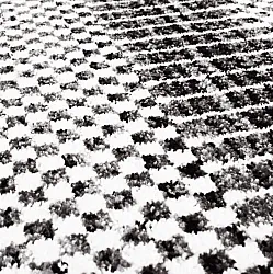 Wilton szőnyeg - Renous (szürke)