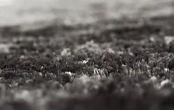 Shaggy szőnyeg - Shaggy Luxe (antracit)