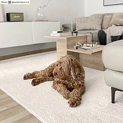 Wilton szőnyeg - Sunayama (fehér)