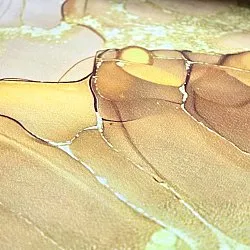 Wilton szőnyeg - Etienne (bézs/arany)