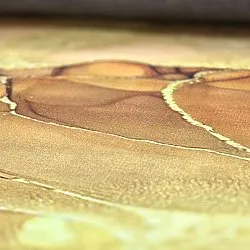 Wilton szőnyeg - Etienne (bézs/arany)