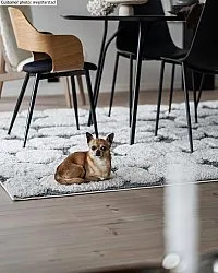 Shaggy szőnyeg - Fondi (szürke)