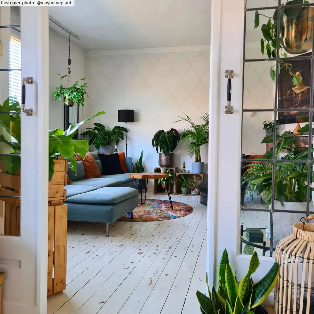 Kerek szőnyeg - Trepito (barna/kék/többszínű)