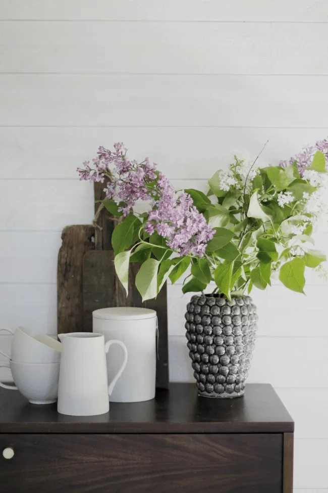 TV-állvány / Komód - Prime (dió/réz)