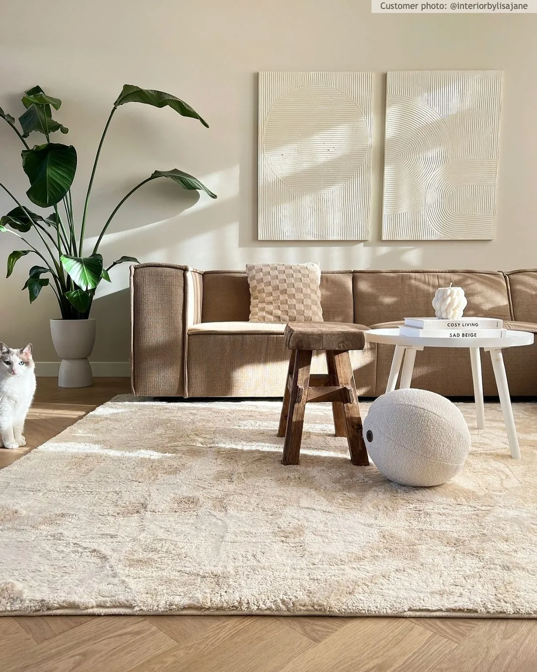 Shaggy szőnyeg - Aranga Super Soft Fur (bézs)