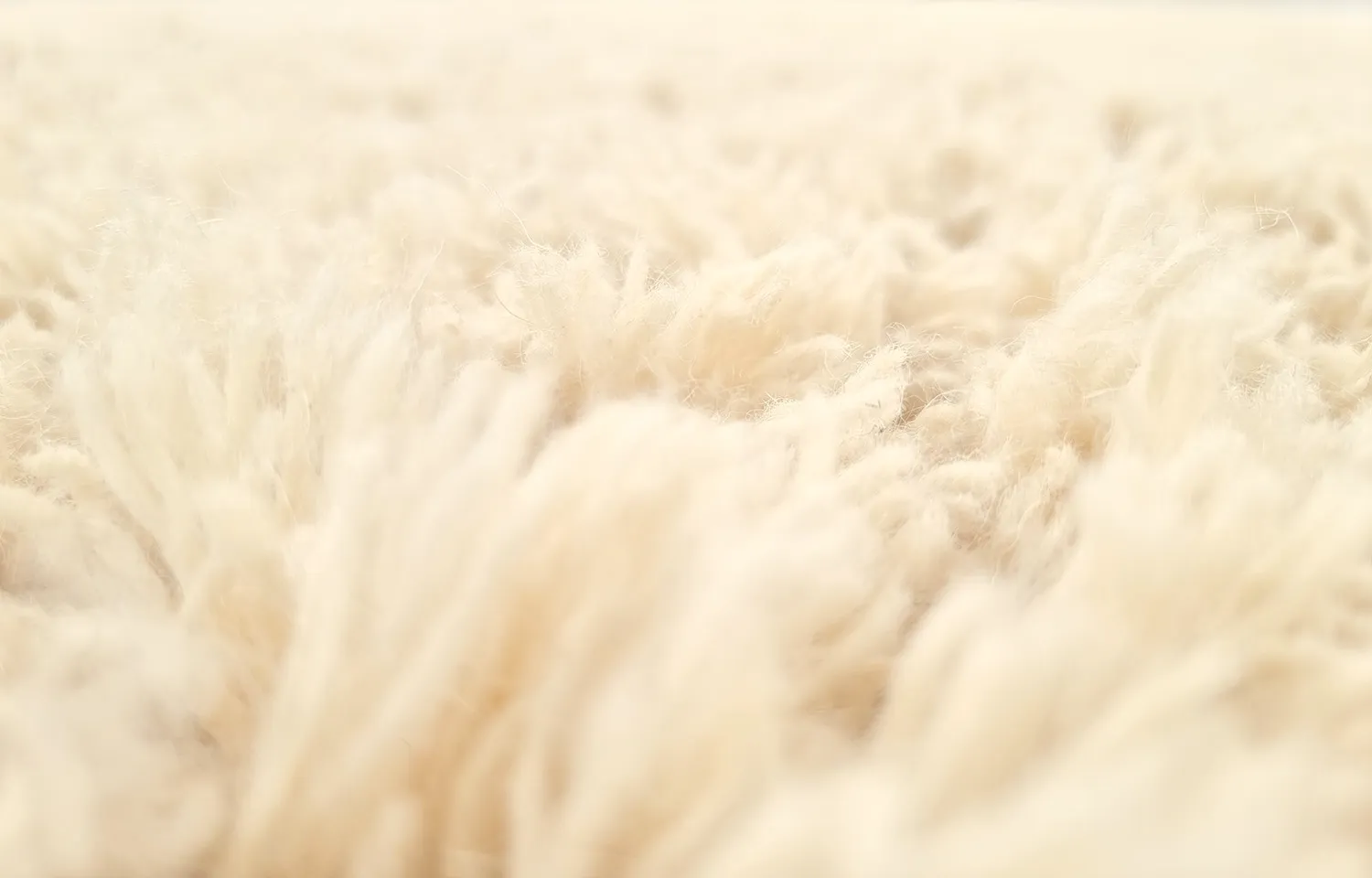 Gyapjúszőnyeg - Aliste Wool Shaggy (alabaster gleam)