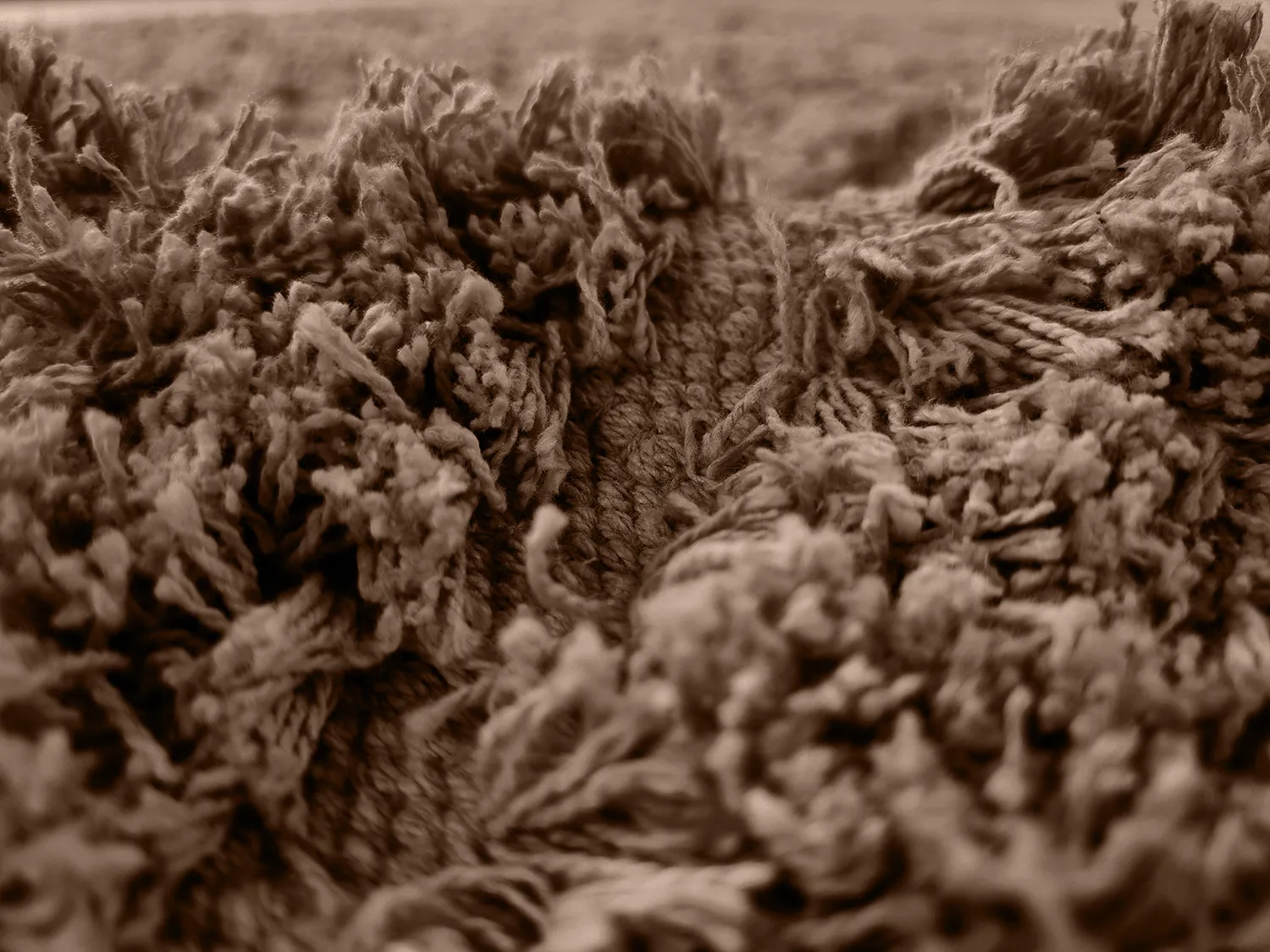 Shaggy szőnyeg - Kendra Natural Cotton Shaggy (barna)