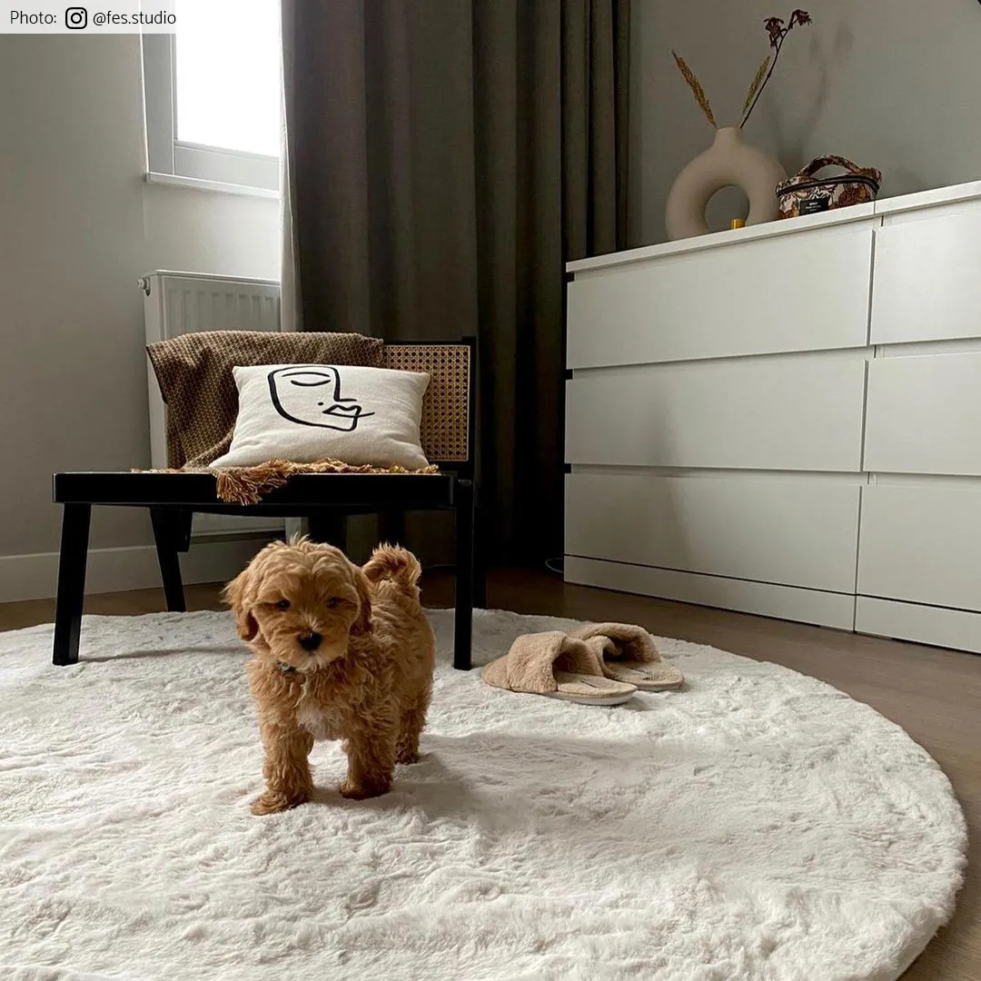 Kerek szőnyegek - Cloud Super Soft (offwhite)