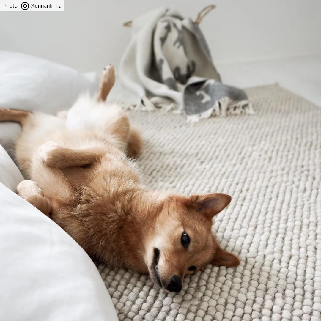 Gyapjúszőnyeg - Avafors Wool Bubble (bézs)