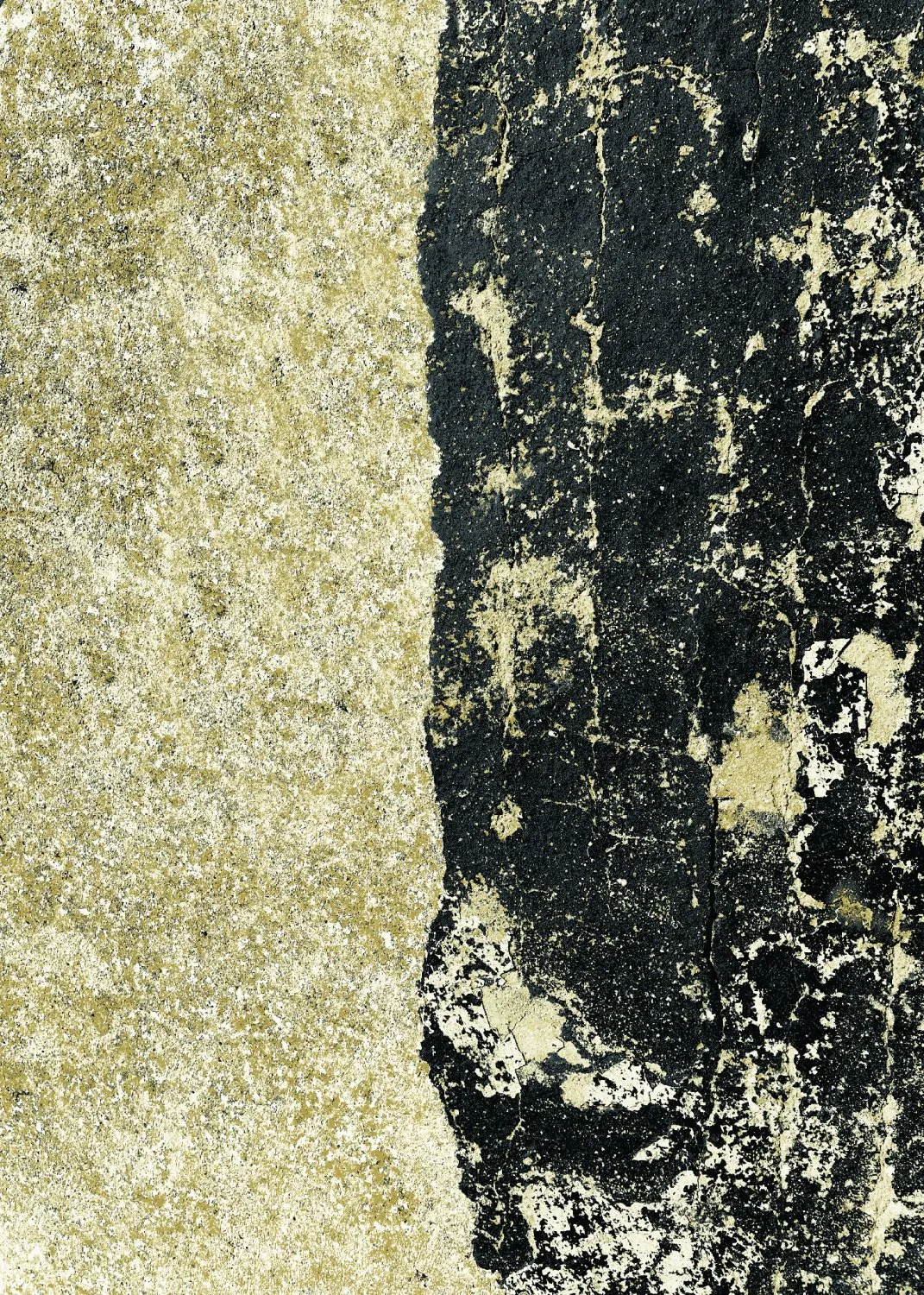 Wilton szőnyeg - Cyra (fekete/Arany)