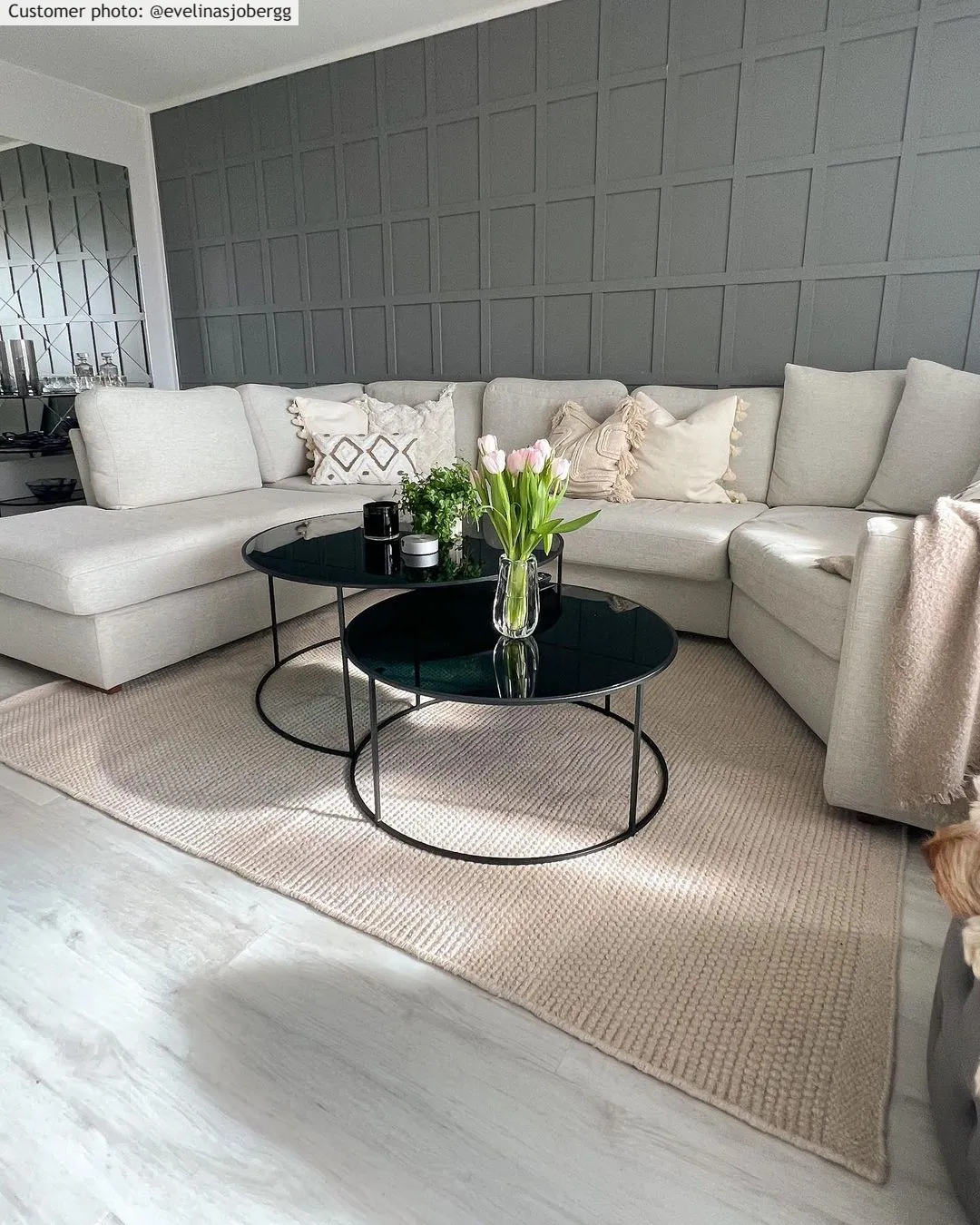 Gyapjúszőnyeg - Coastal (krém)