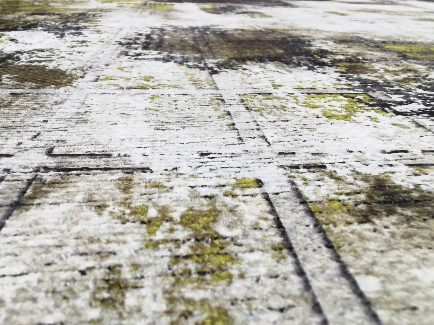 Wilton szőnyeg - Flores (fekete/barna/fehér)