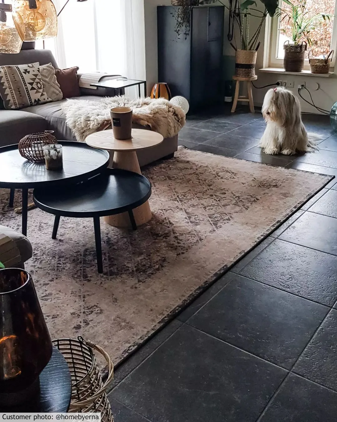 Wilton szőnyeg - Douz (fekete/többszínű)