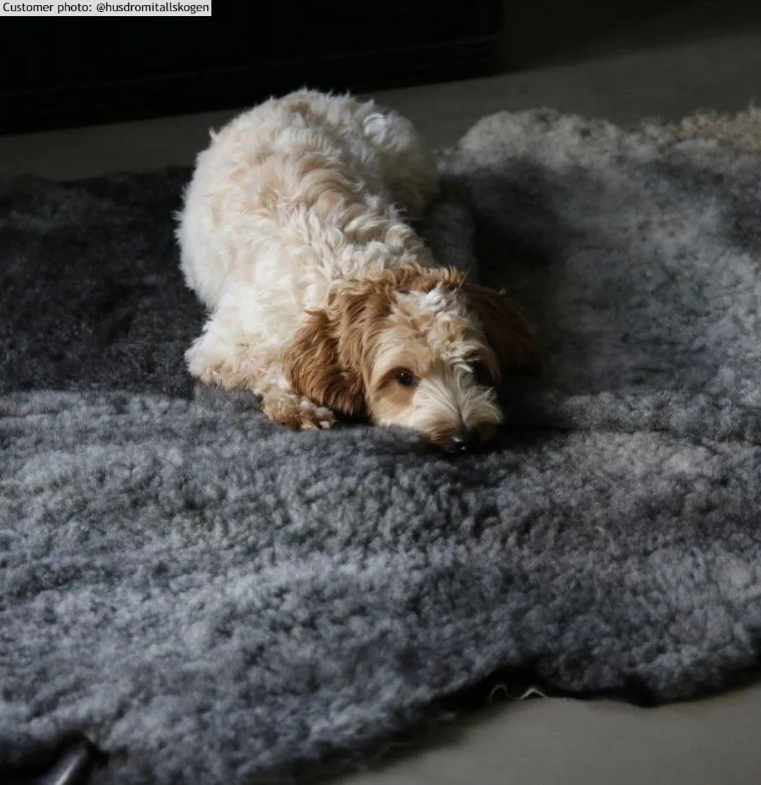 Svédországi juhbőr