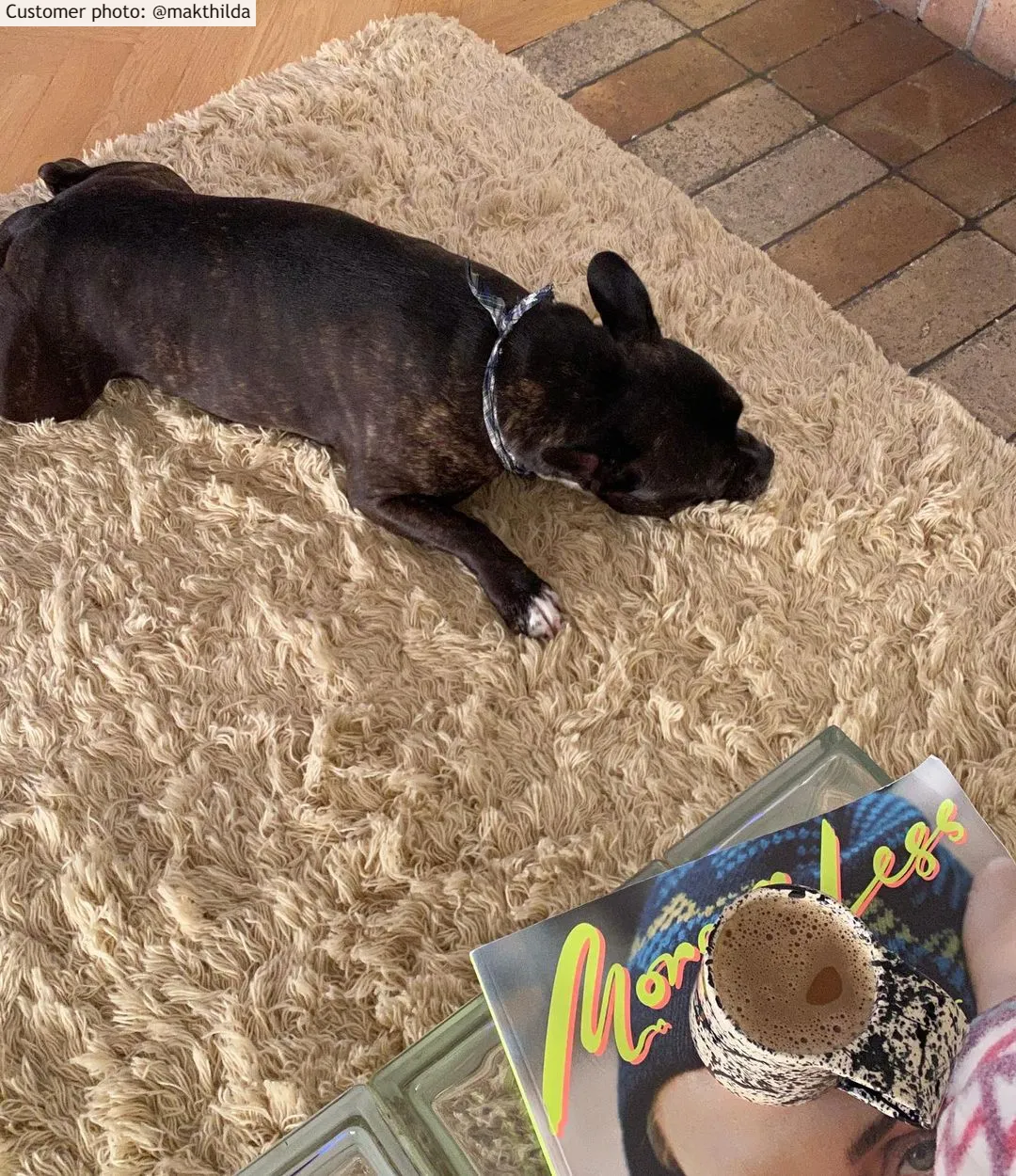 Gyapjúszőnyeg - Aliste Wool Shaggy (alabaster gleam)